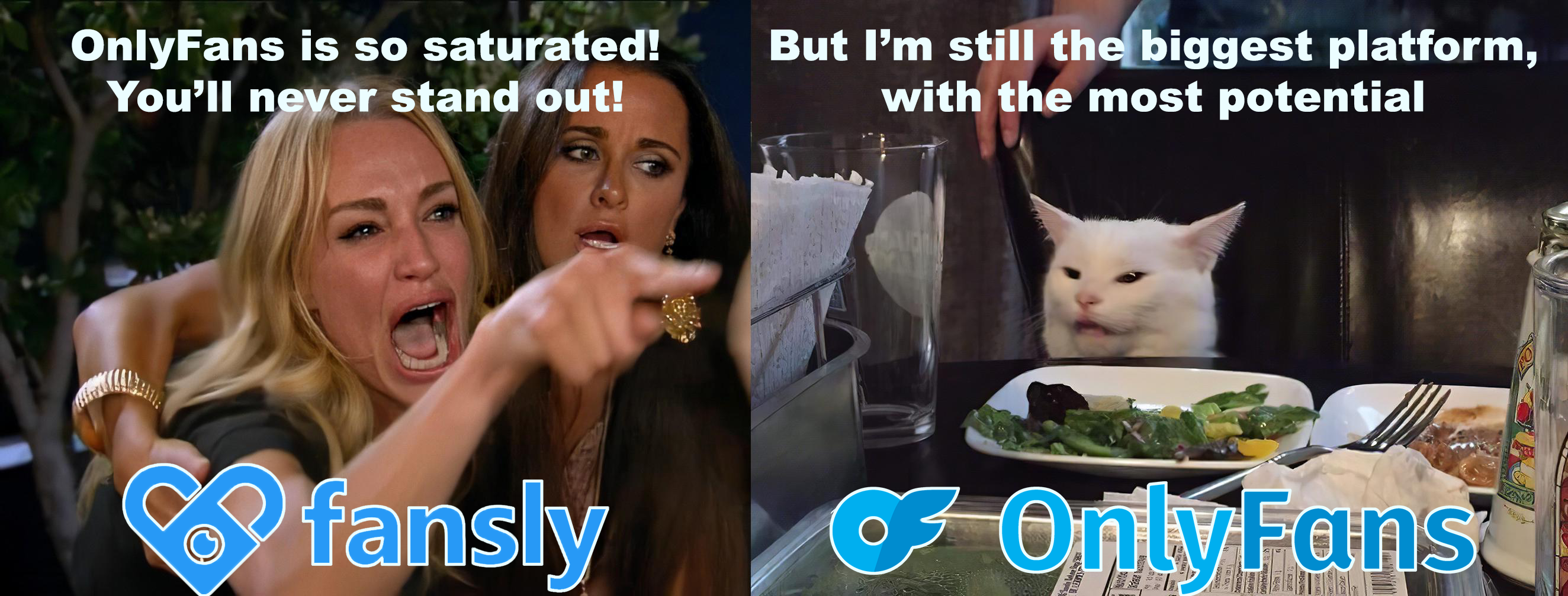 OnlyFans vs Fansly compare